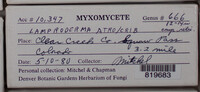 Image Associated With the Occurence
